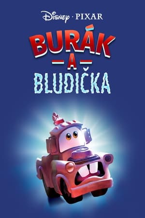 Poster Burák a Bludička 2006