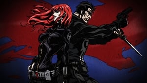 Avengers Confidential: Czarna Wdowa i Punisher – CDA 2014