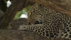 Lake Manyara National Park