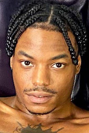 Mr. Mysterio portrait