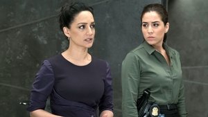 Blindspot: Mapa zbrodni: Sezon 2 Odcinek 9