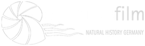 Logo Nautilusfilm