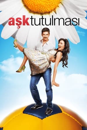 Poster Aşk Tutulması 2008