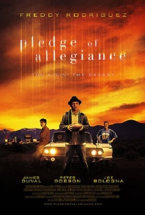 Poster Pledge of Allegiance 2003