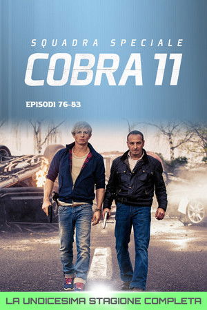 Squadra Speciale Cobra 11: Stagione 11