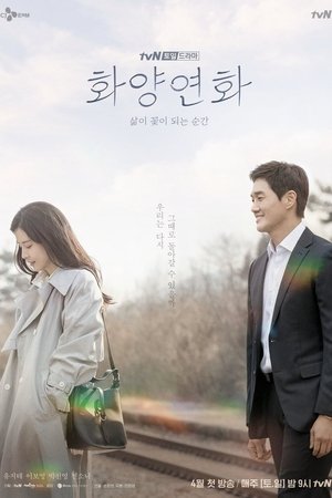 Nonton Drama Korea When My Love Blooms (2020)