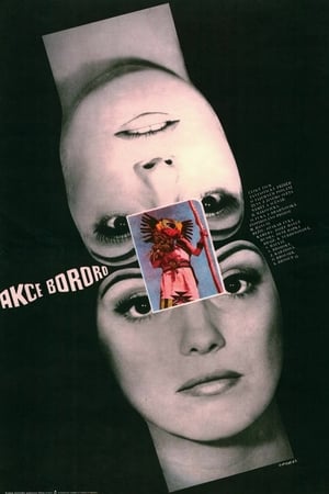 Poster Akce Bororo 1973
