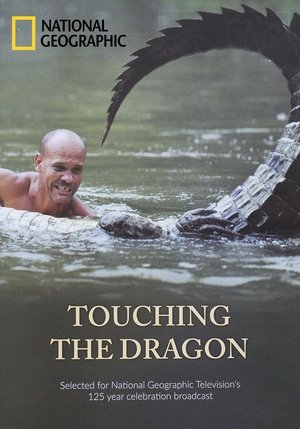 Poster Touching the Dragon 2013