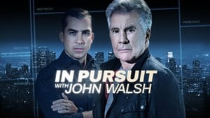 poster In Pursuit with John Walsh
