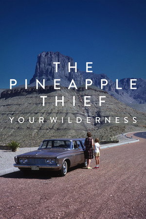 The Pineapple Thief: Your Wilderness 4