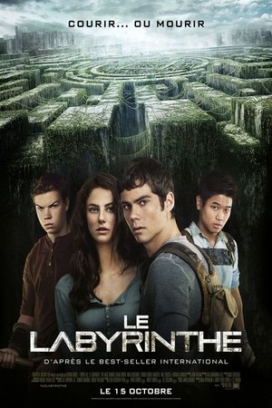poster The Maze Runner