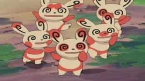 Pokémon Season 7 :Episode 17  Going for a Spinda