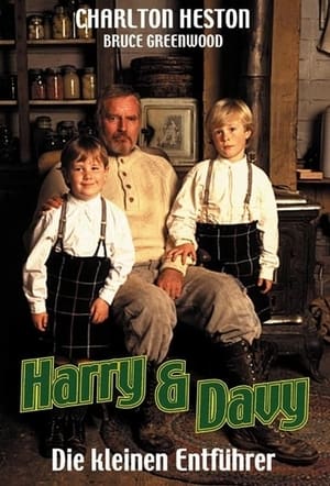 Image Harry & Davy - Die kleinen Entführer