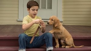 A Dog’s Purpose 2017