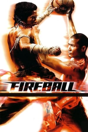 Poster Fireball (2009)