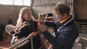 The Yorkshire Vet Episode 3