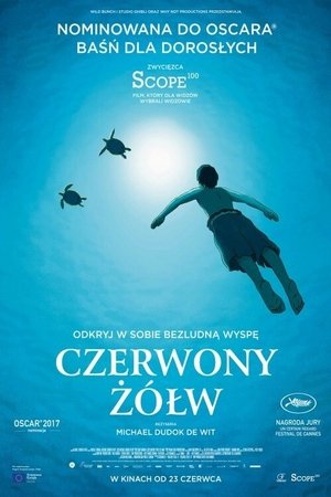 Poster Czerwony żółw 2016