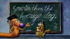 CatDog Smarter than the Average Dog