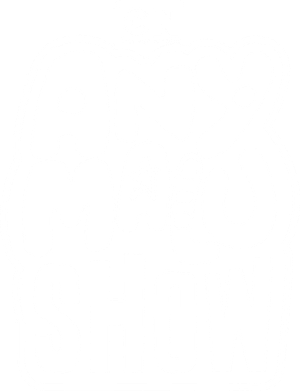 Any Malu Show