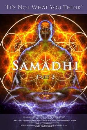Image Samadhi Part 2: It's Not What You Think