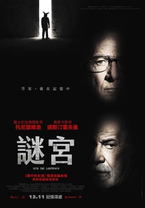 Poster 迷宫中的人 2019