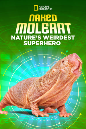 Image Naked Molerat: Nature’s Weirdest Superhero