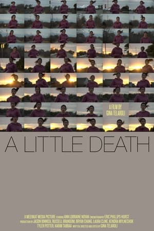 Poster A Little Death 2010