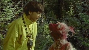 Of Necklaces and Things