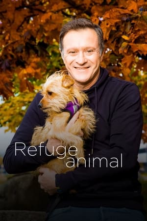 Image Refuge animal