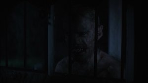 Images posters