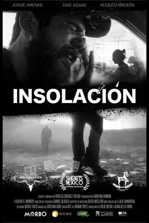 Poster Insolación (2020)