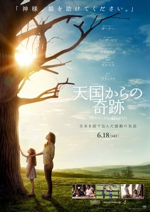 天国からの奇跡 (2016)