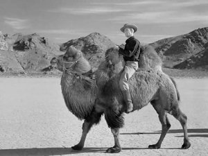 Death Valley Days Camel Train