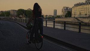 Tarte à la Myrtille