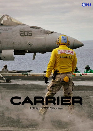 Ver Carrier online en HD