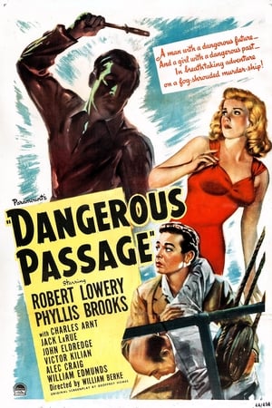 Poster Dangerous Passage (1944)