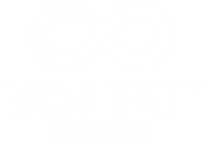Logo No Limit Boxing