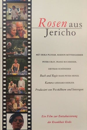 Image Rosen aus Jericho