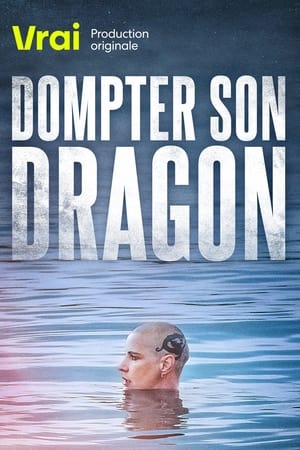 Poster Dompter son dragon 2021