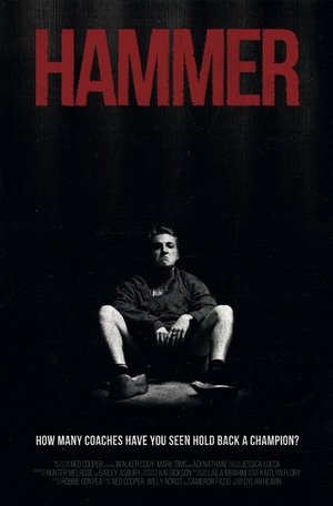 Poster Hammer (2021)