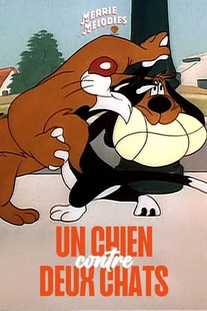 Un Chien contre deux chats