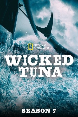 Wicked Tuna: Kausi 7