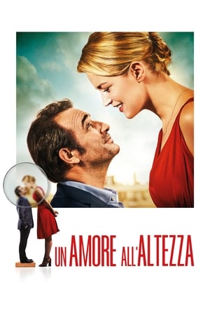 Image Un amore all'altezza