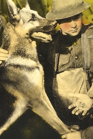 Poster His Master's Voice (1925)