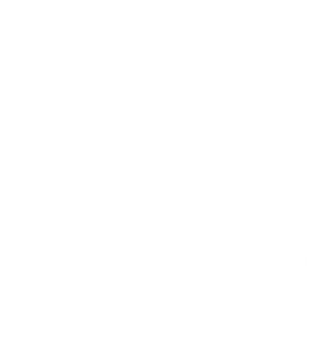 더 보이