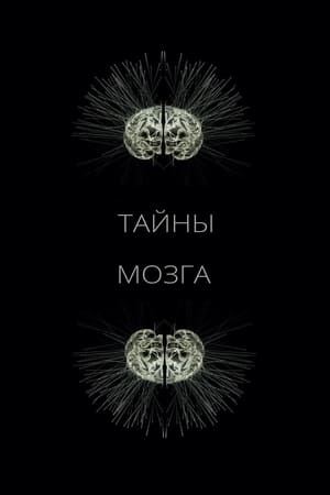 Image Тайны мозга