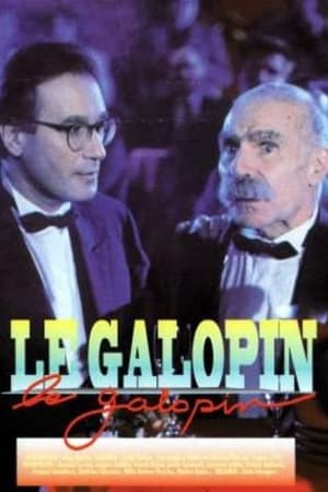 Poster Le galopin 1993