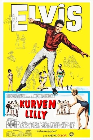 Poster Kurven-Lilly 1965