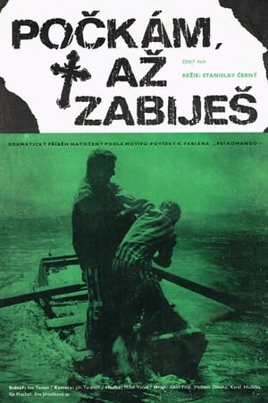 Poster Počkám, až zabiješ 1973