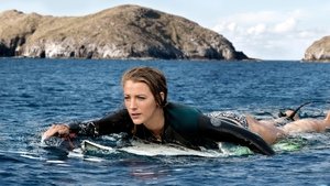 The Shallows (2016) นรกน้ำตื้น